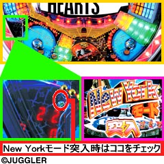 1.3.1 2Rランプ判別法画像