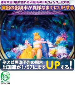 2.4.1 ドルフィンロード画像