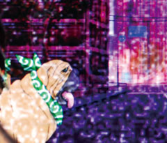 3.2.1 唐草柄画像