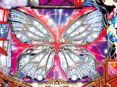 4.5.1 蝶インパクトフラッシュ画像