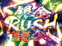 2.1.1 銀金RUSH画像