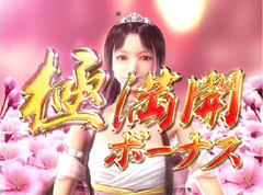 2.6.1 大当りの種類画像