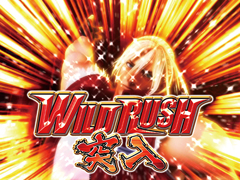 2.2.1 WILD RUSH画像