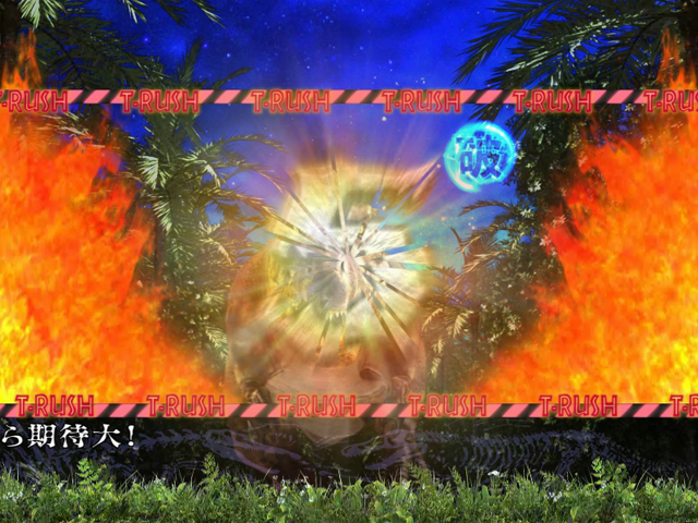 4.4.1 T-RUSH画像