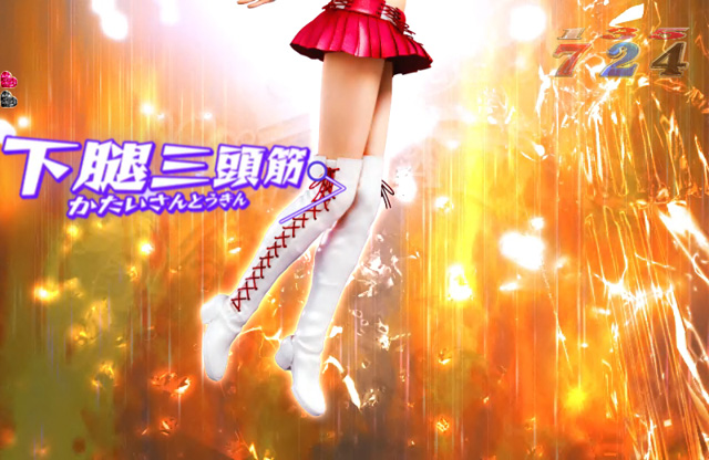 5.33.1 筋肉名予告画像