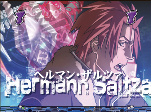 9.1.1 ヘルマンリーチ画像