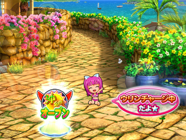 3.4.1 ウリンチャージ画像