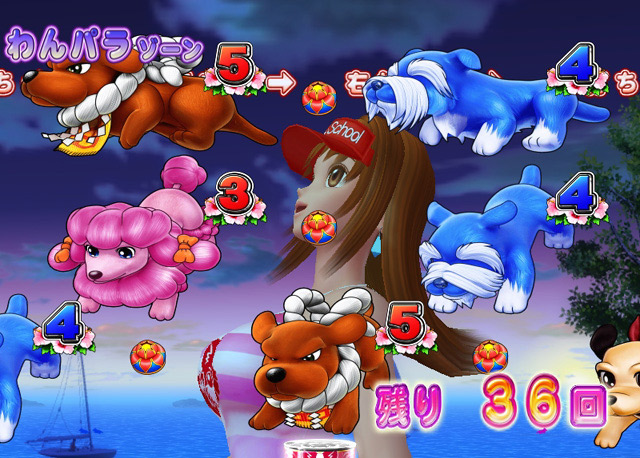 6.3.1 ラブちゃんモード予告信頼度[わんパラゾーン]画像