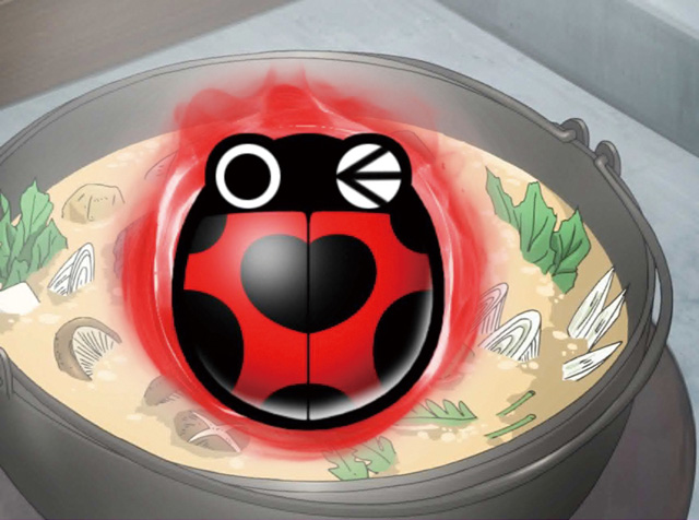 9.5.1 てんとう虫画像