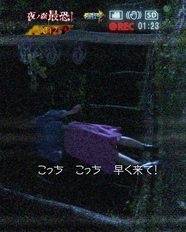 10.12.1 映り込みSU予告[夜ノ森最恐モード]画像