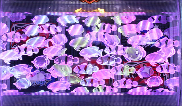 4.2.1 イルミ魚群画像