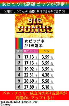 2.6.1 女ビッグ詳細