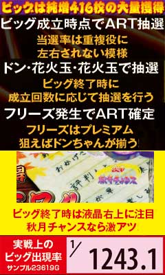 7.5.1 ビッグ概要