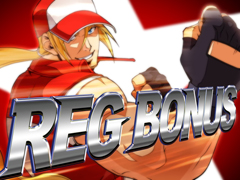 3.2.1 REGボーナス