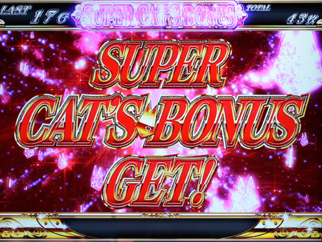 3.6.1 スーパーキャッツボーナス